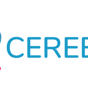 Cerebralis Corbelin, Entreprise de service, Formation