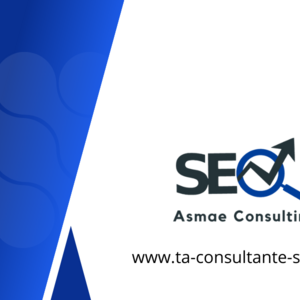 Ta Consultante SEO Tours, Web, Agence marketing, Consultant