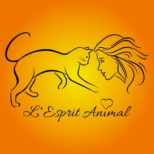 L'Esprit Animal  Saint-Palais-sur-Mer, Thérapeute, Energeticien